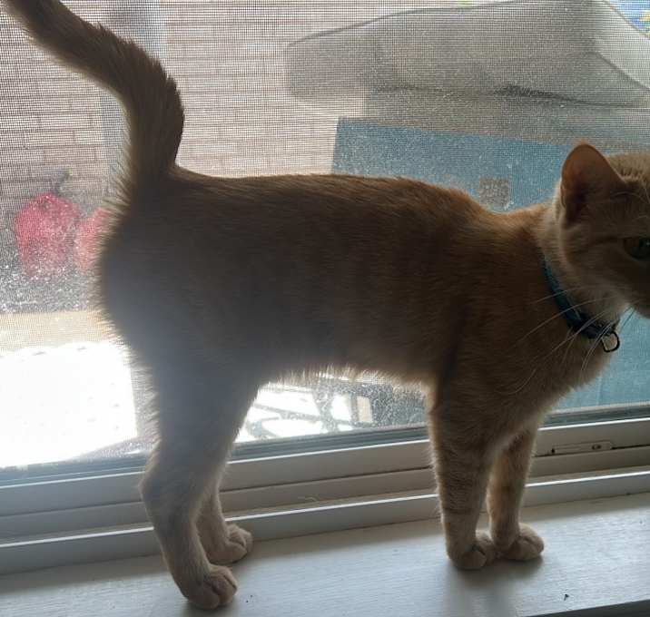 Photo of Ember