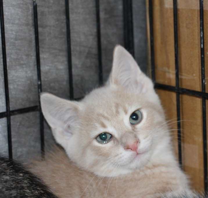 Photo of Wally