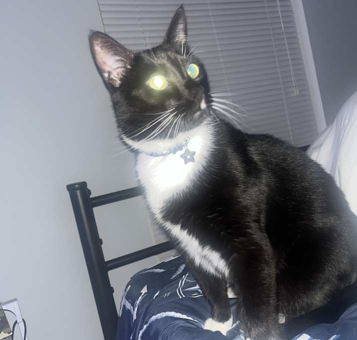 Photo of Astro
