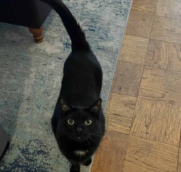 Photo of Bob