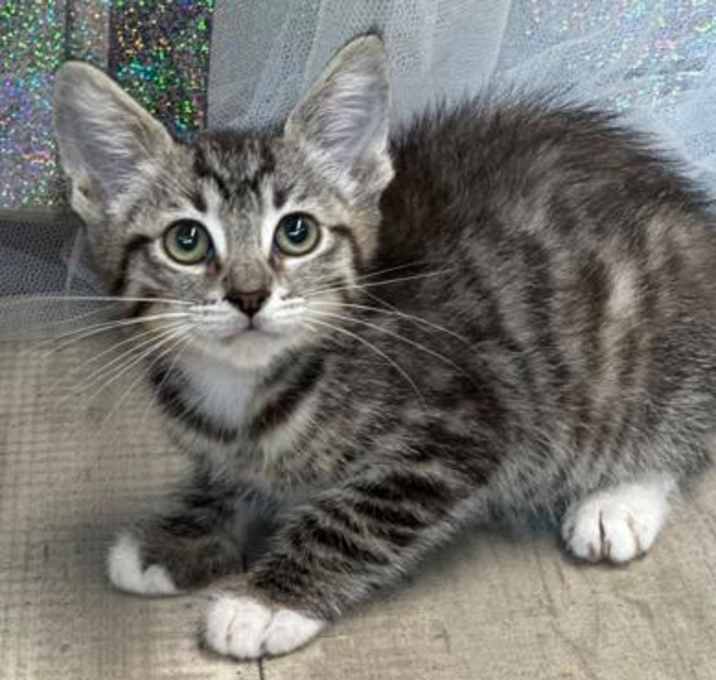 Photo of Leonard