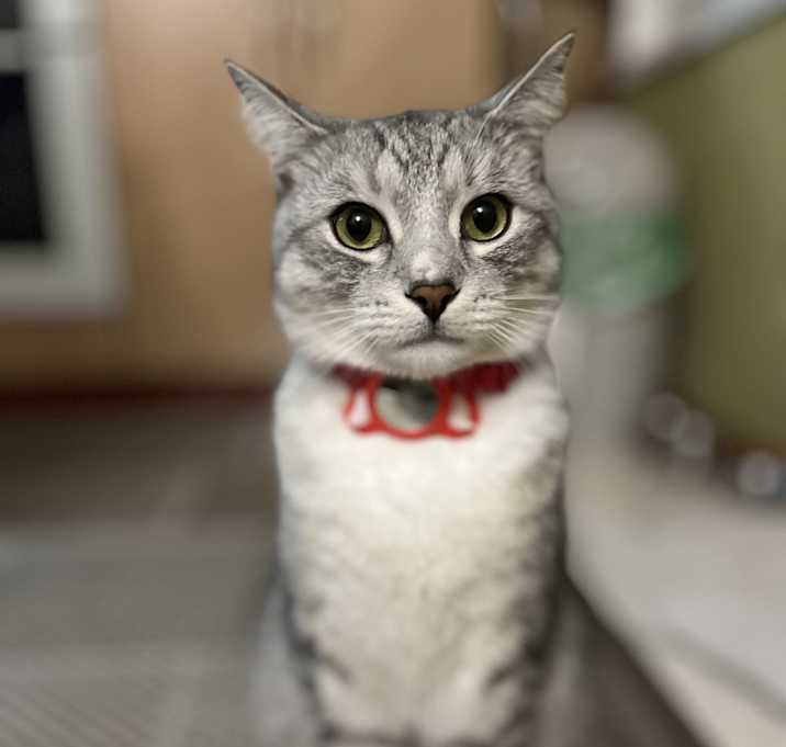 Photo of Tom