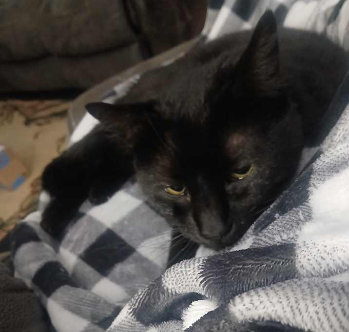 Photo of Jude