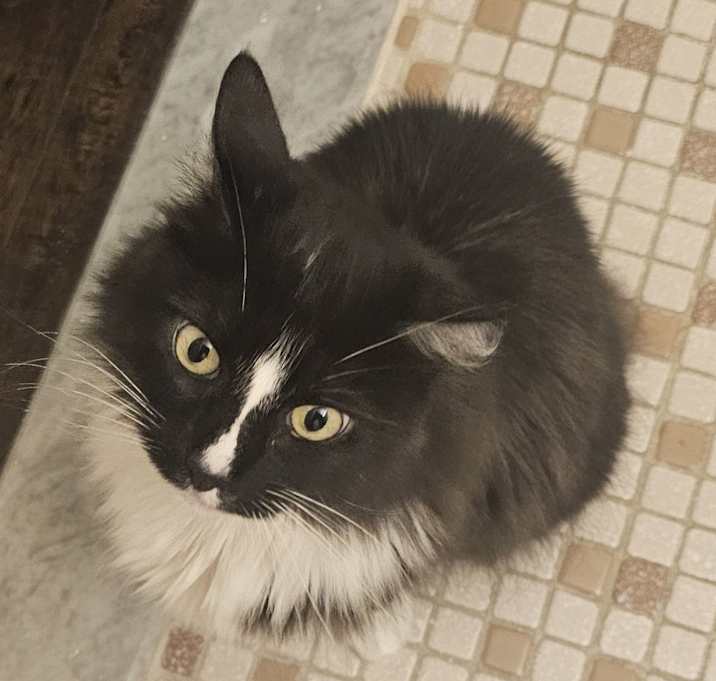 Photo of Cleopatra