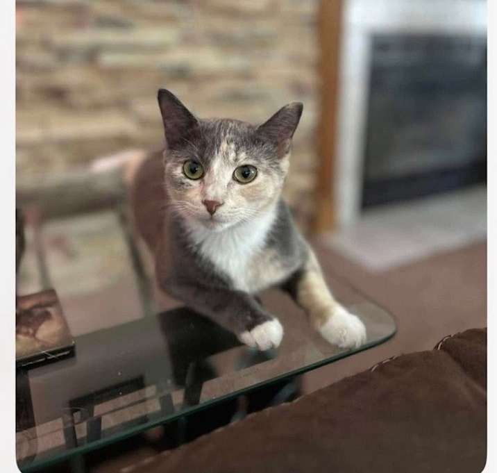Photo of Nala May