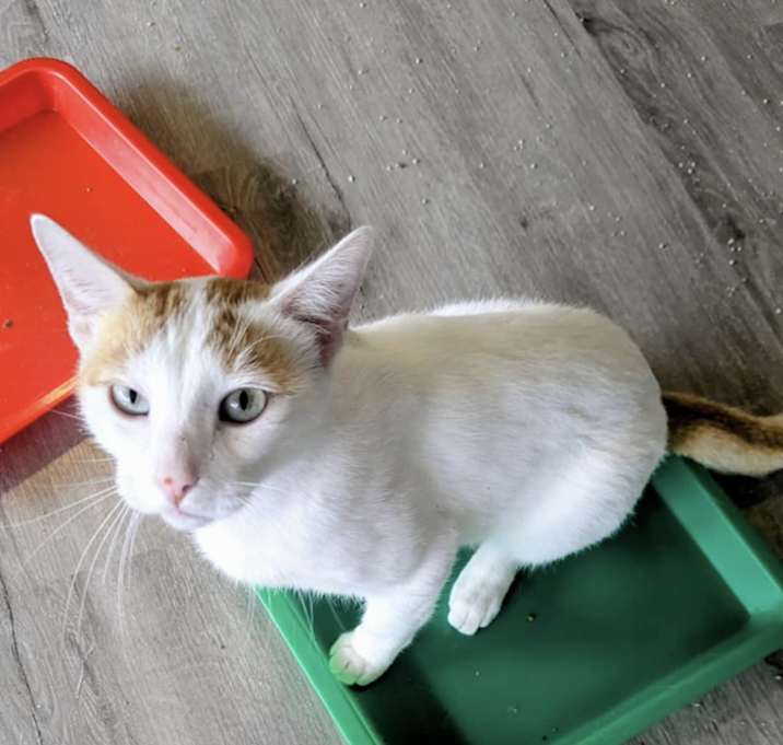 Photo of Kevin