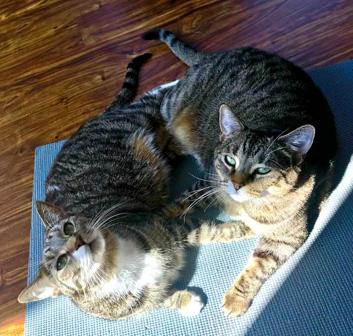 Photo of Harley and Emma