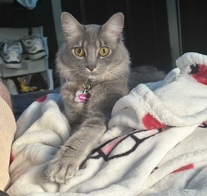 Photo of Willow Mae