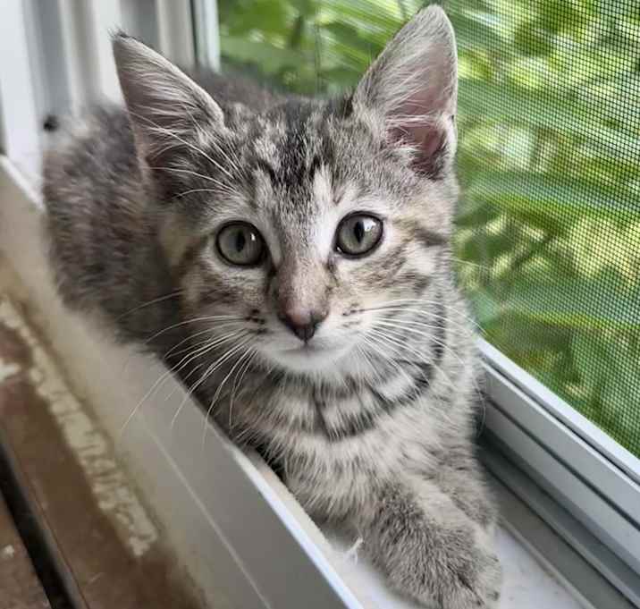 Photo of Dakota