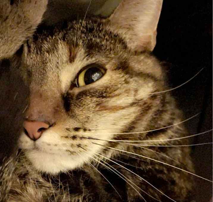 Photo of Wilma