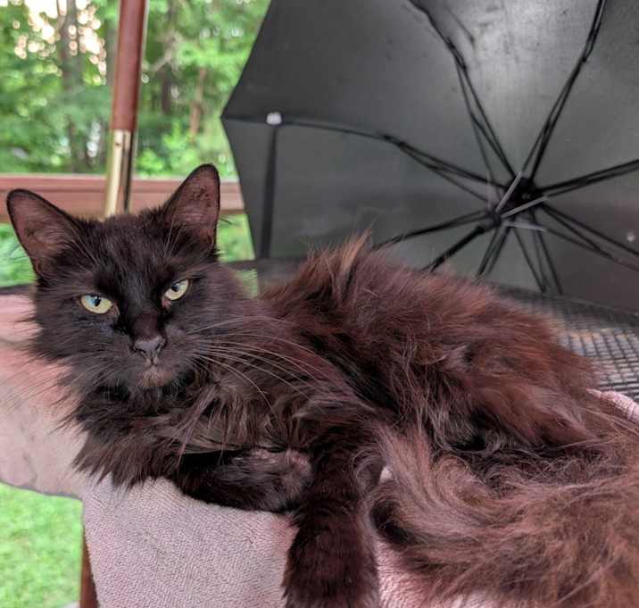 Photo of Princess
