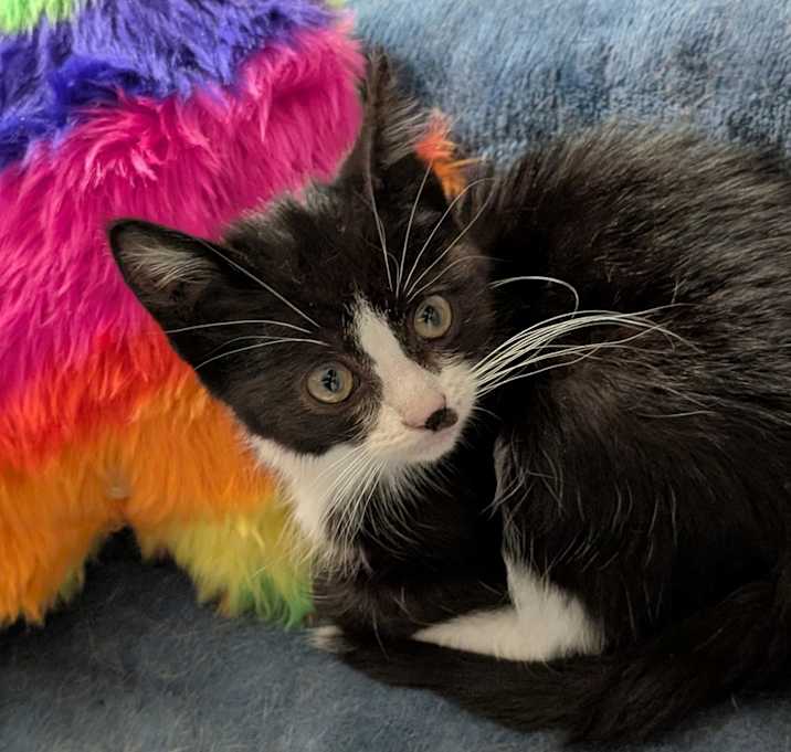Photo of Zahra 