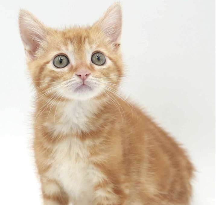 Photo of Benny