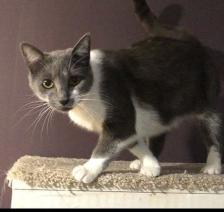 Photo of Rella