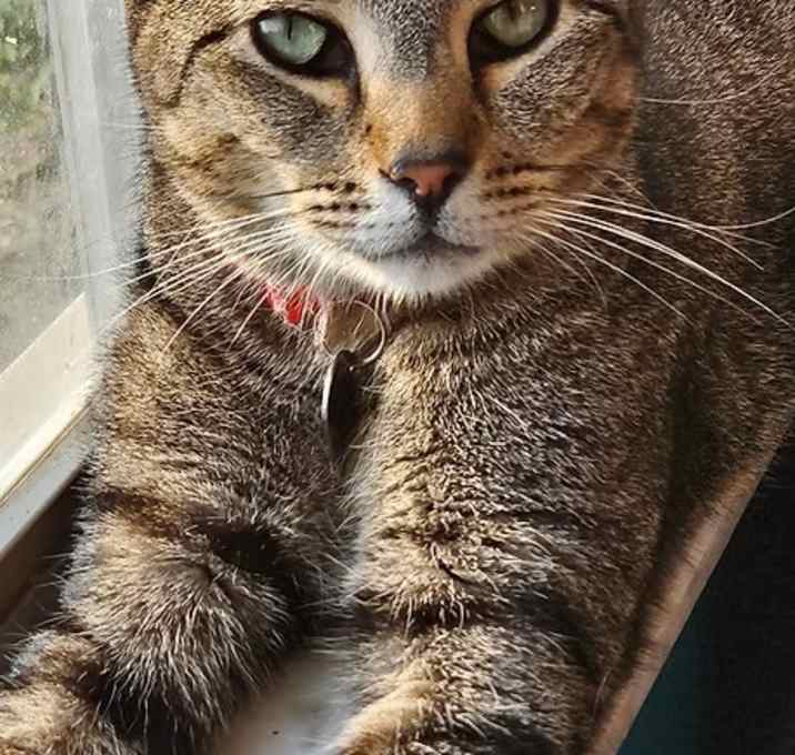 Photo of Peeta – Age 6-  A Survivor