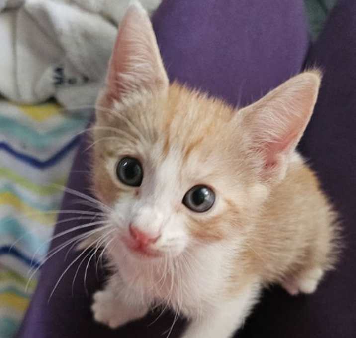 Photo of Lover