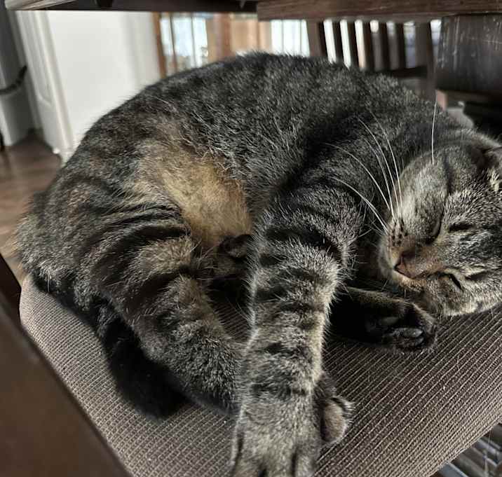 Photo of Teeny
