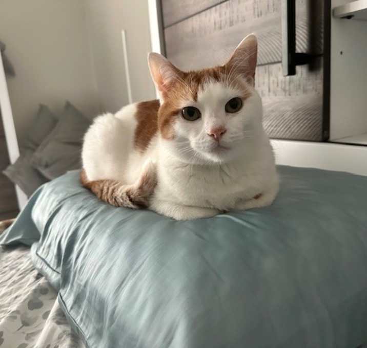 Photo of Sophie