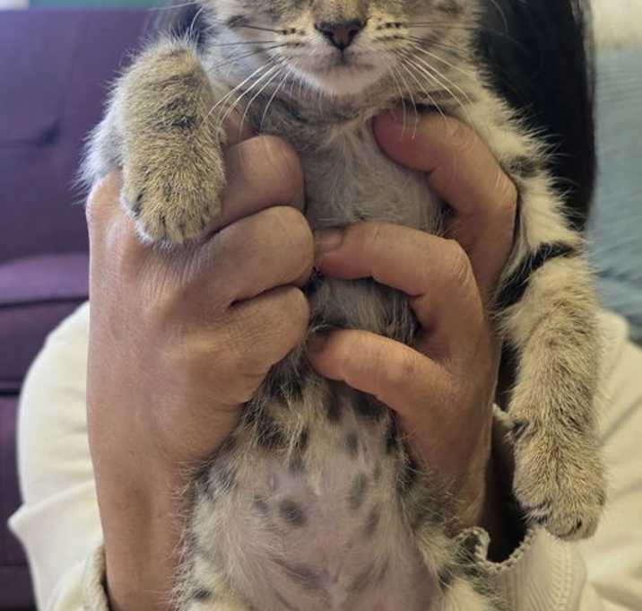 Photo of Kiwi