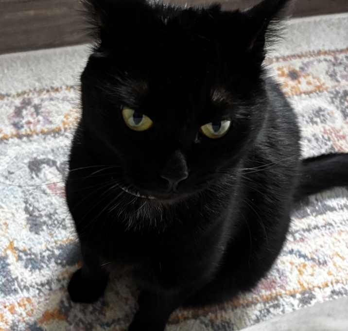 Photo of Peeka