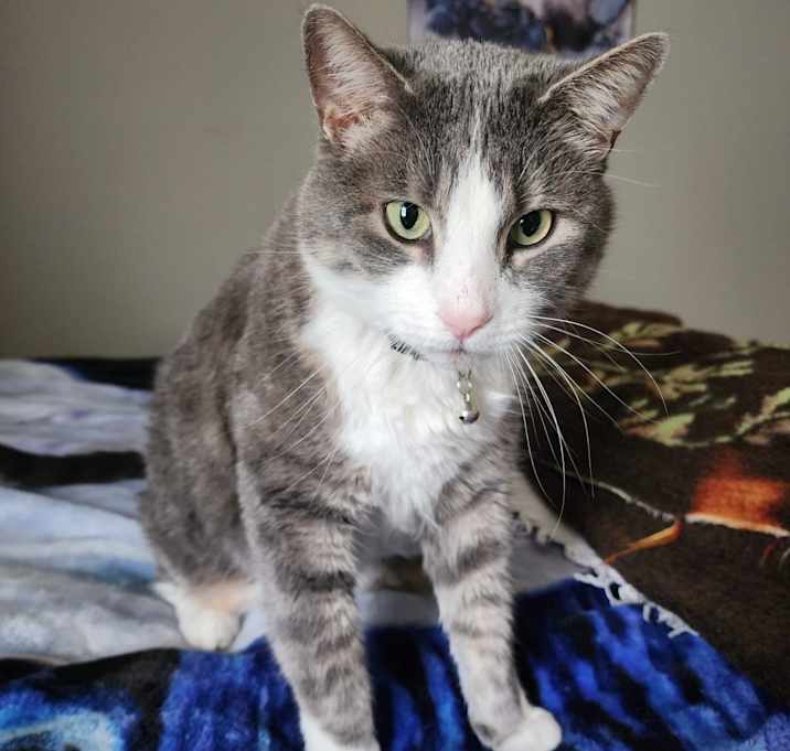 Photo of Thor