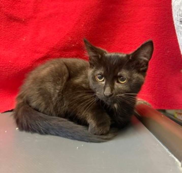 Photo of Zeus