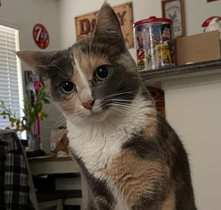 Photo of Grace
