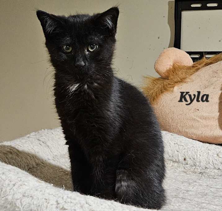 Photo of Kyla