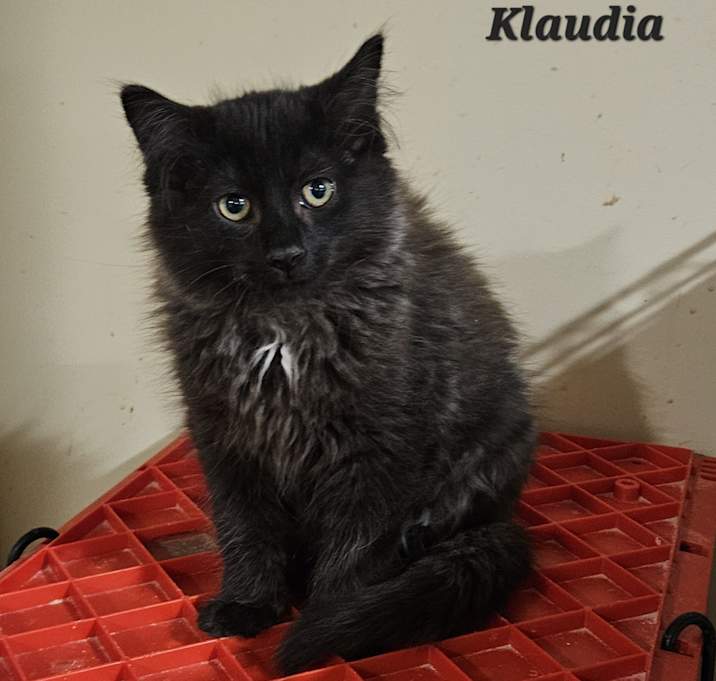 Photo of Klaudia