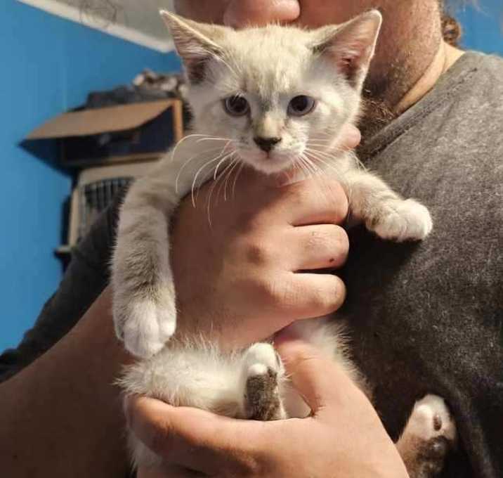 Photo of Gandalf