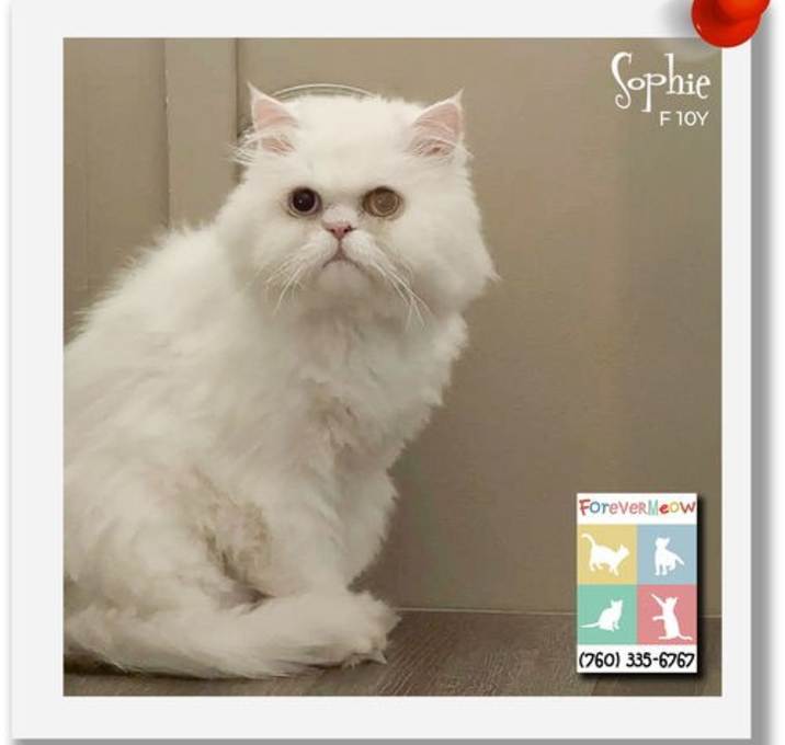 Photo of Sophie