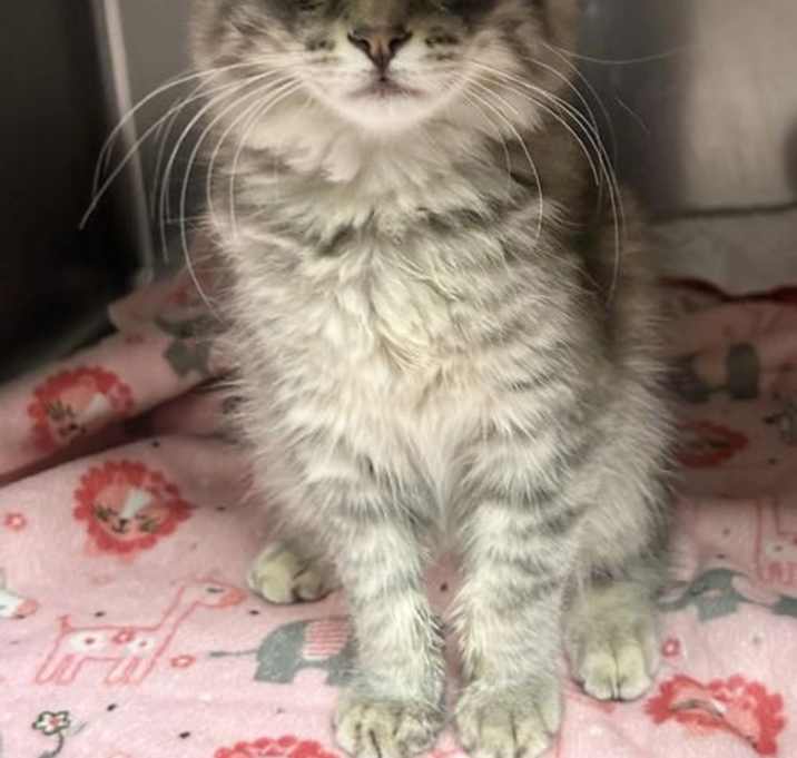 Photo of Oliver