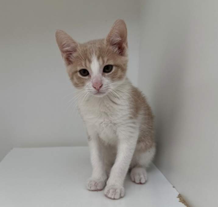 Photo of Sugar