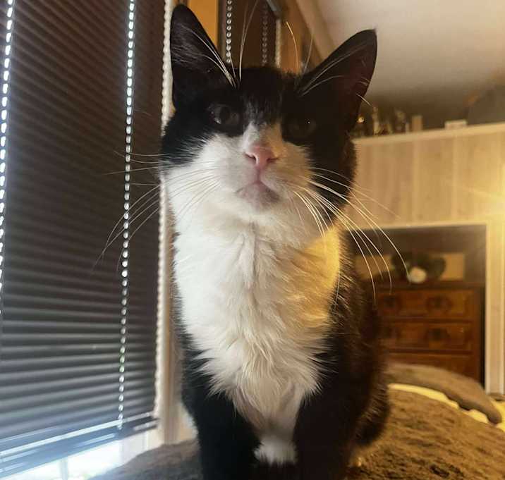 Photo of Jubilee
