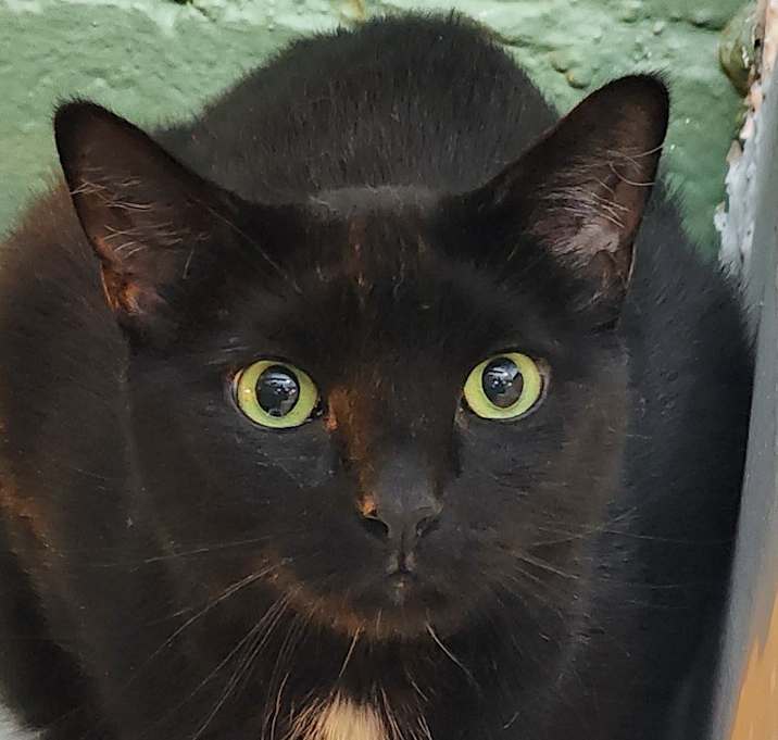 Photo of Charm