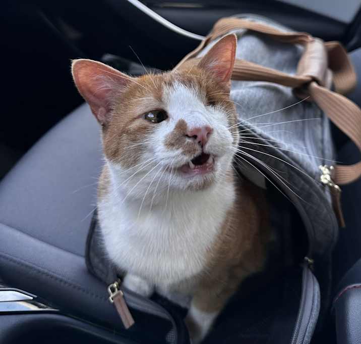 Photo of Chunk