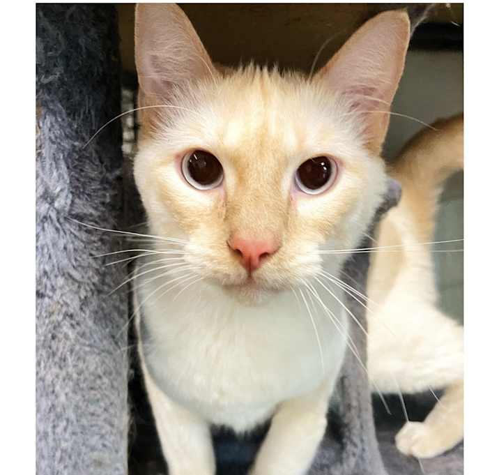 Photo of Thor