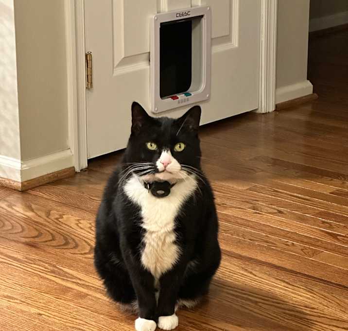 Photo of Billy