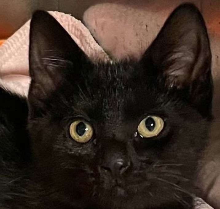 Photo of Pepsi