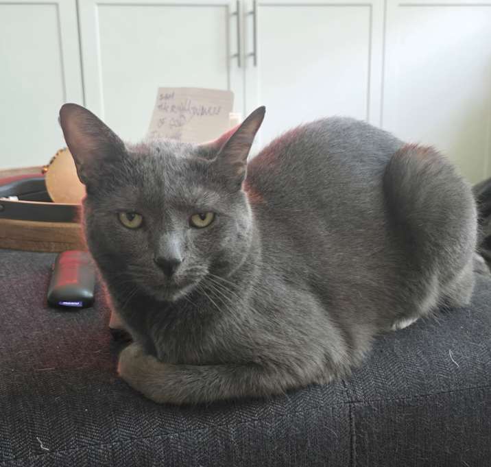 Photo of Puff