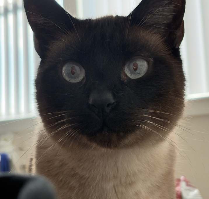 Photo of Jelly
