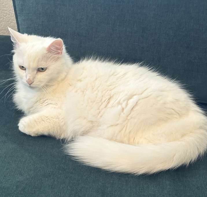 Photo of Lilli