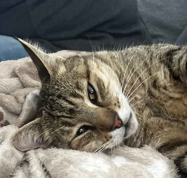 Photo of Mooch