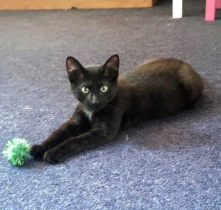 Photo of Harriet