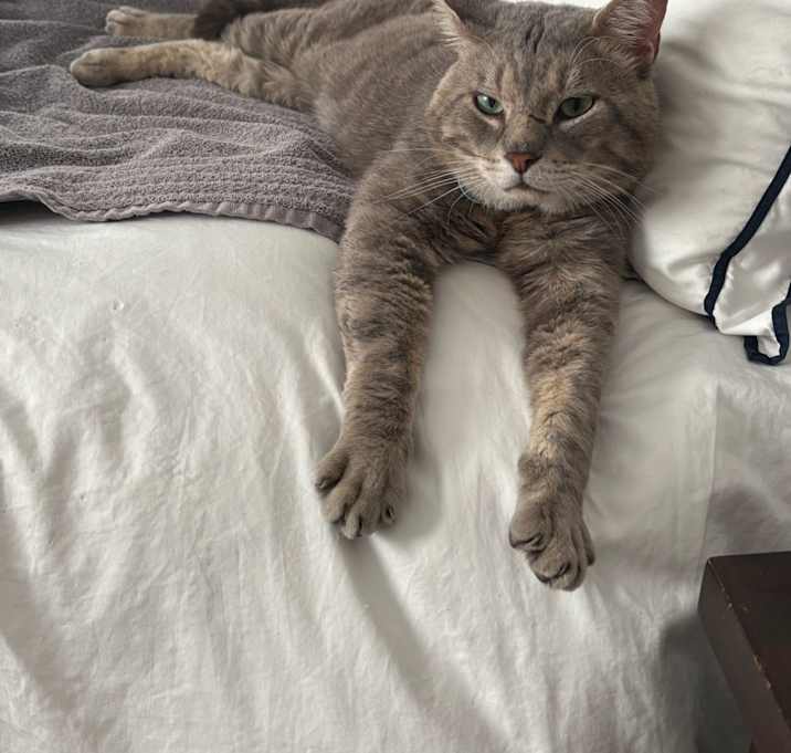 Photo of Chance