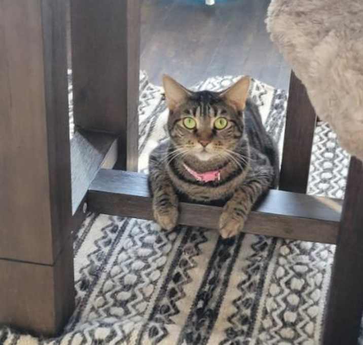 Photo of Chloe
