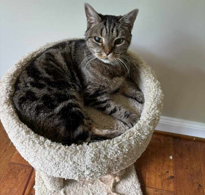 Photo of Oliver