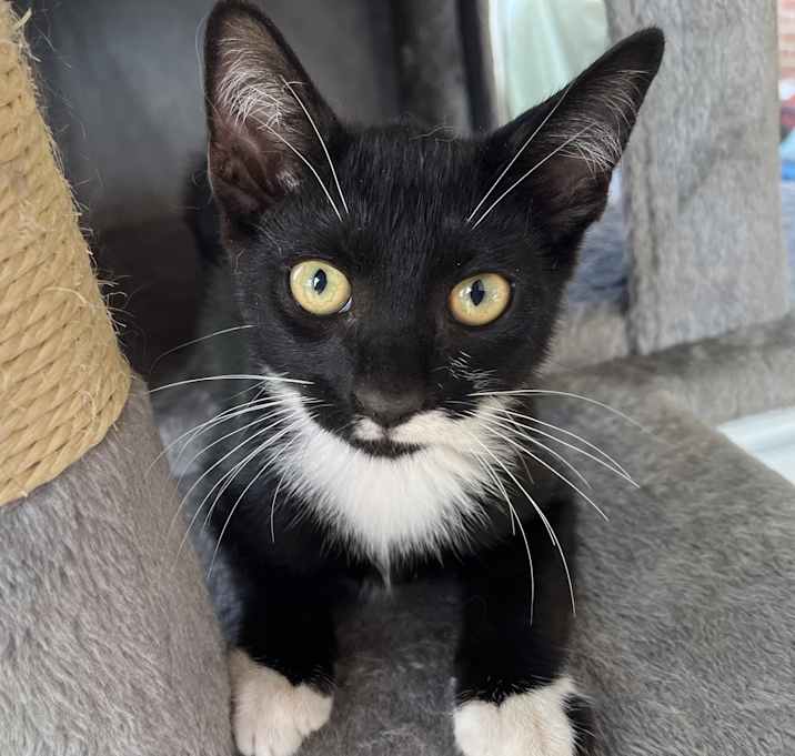 Photo of Jack