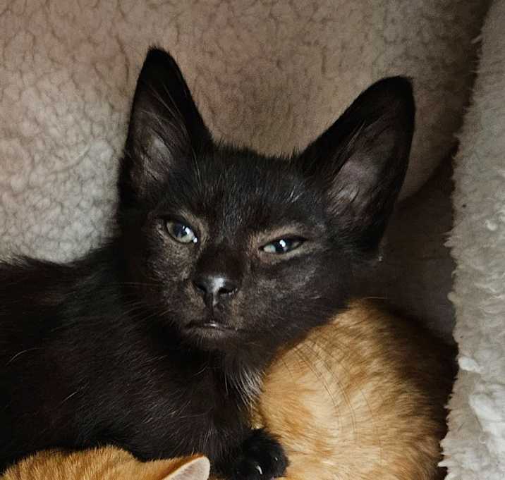 Photo of Martie
