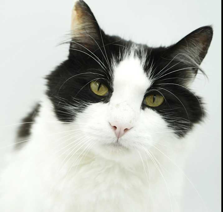 Photo of Mumu